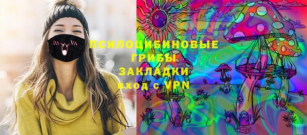 ГАЛЛЮЦИНОГЕННЫЕ ГРИБЫ Покачи