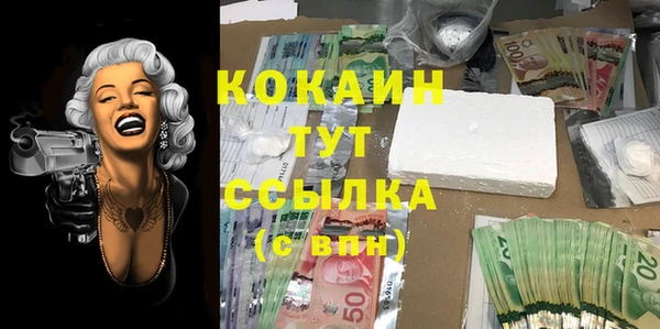 мяу мяу мука Белокуриха